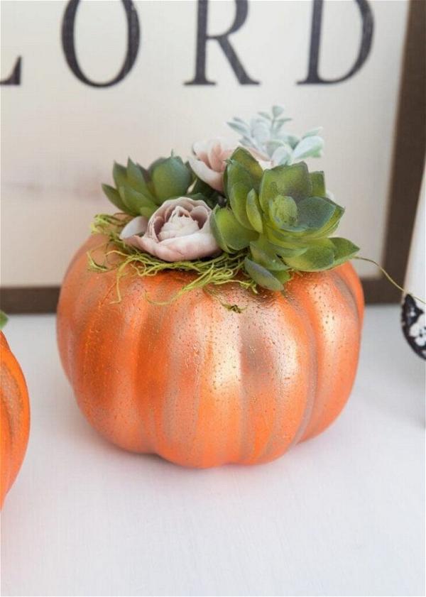 DIY Pumpkin Succulent
