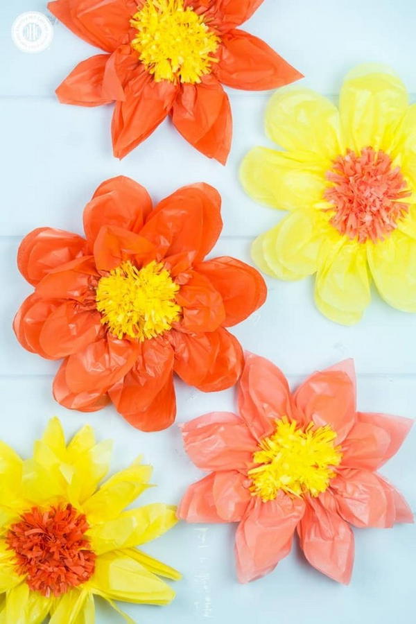 Giant Tissue Paper Flowers