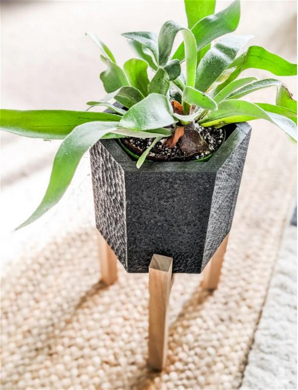 Carved Hexagon Planter with Plant Stand