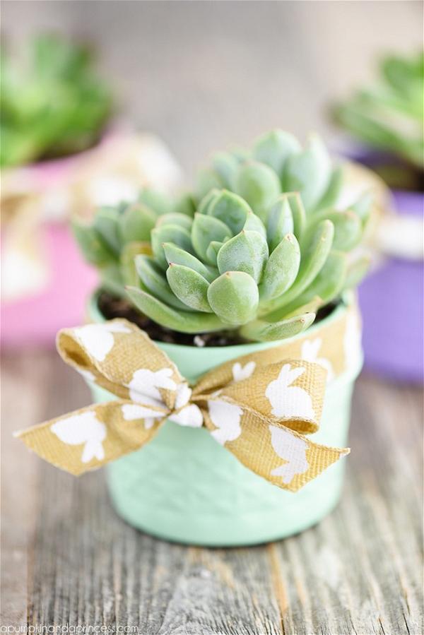 Mason Jar Succulent Planters