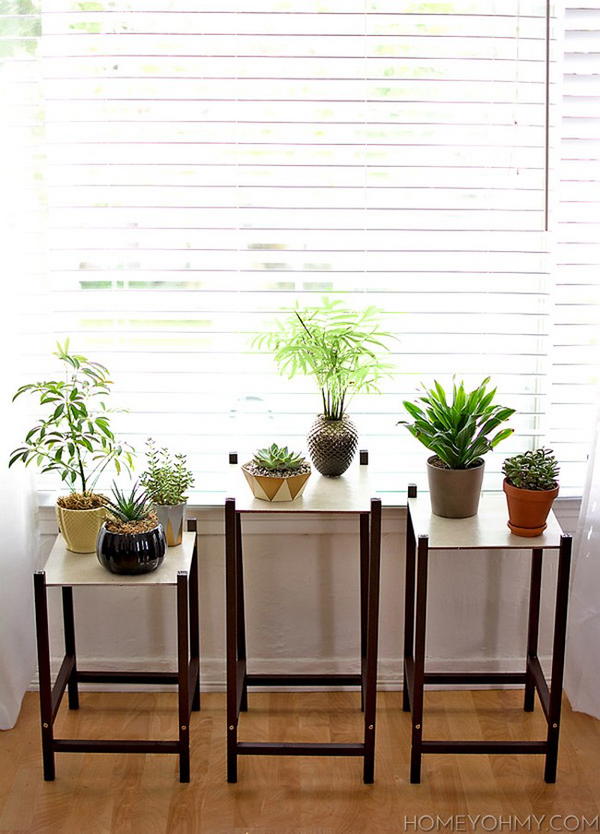 Modern Plant Stand