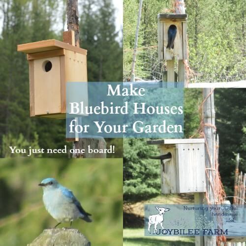 Bluebird House