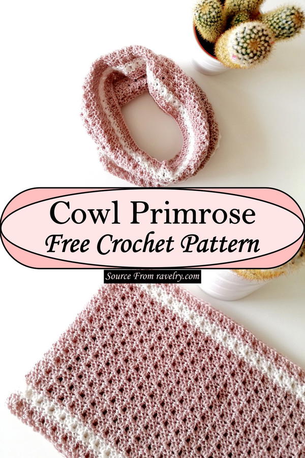 Cowl Primrose