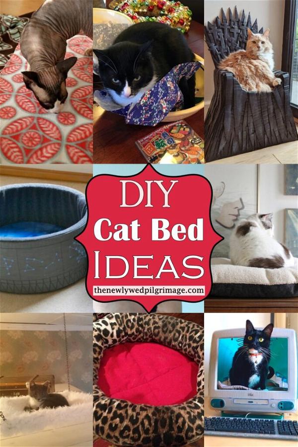 24 Diy Cat Bed Ideas With Pictures Mint Design Blog