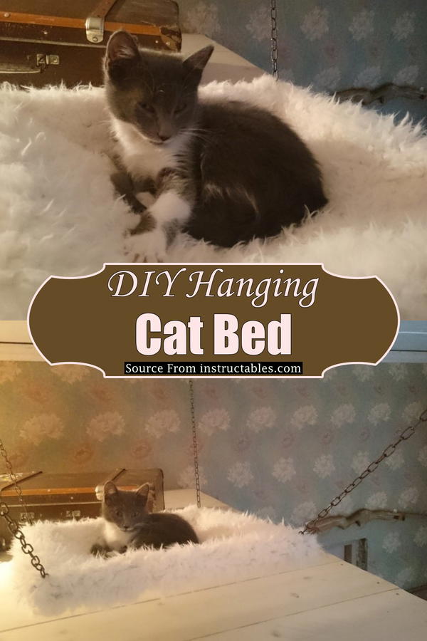 DIY Hanging Cat Bed