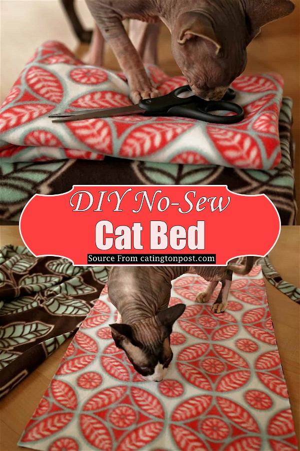 DIY No-Sew Cat Bed
