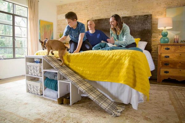 Doggie Bed Ramp With Smart Storage