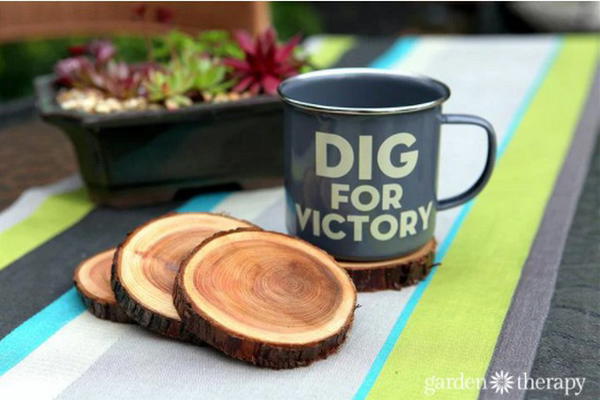 Natural Branch Coasters