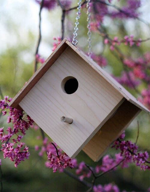 Wooden Bird House