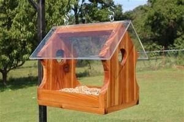 A Bird Feeder