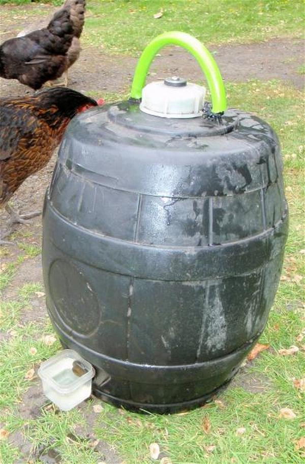 Automatic Feeder Waterer