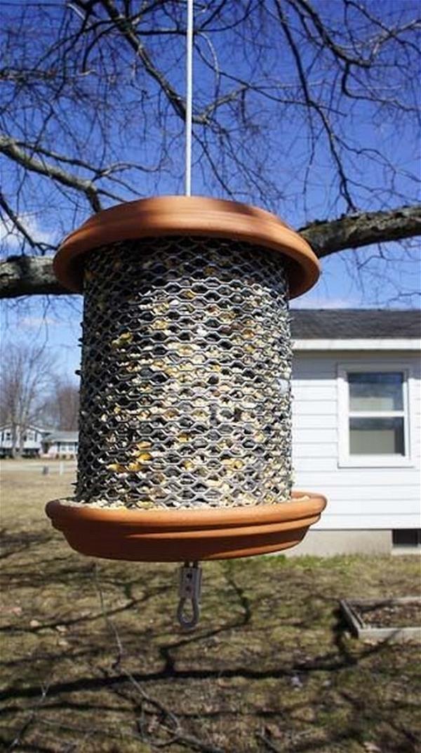 Bird Feeder DIY Craft