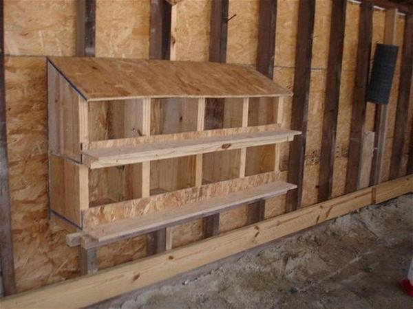 Build Your Own Chicken Nesting Box