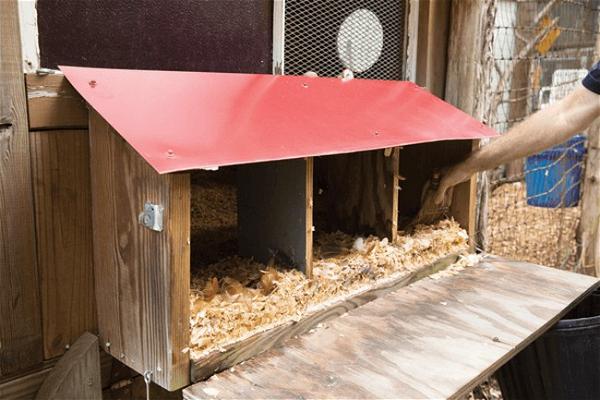 Building The Best For Your Chicken Coop