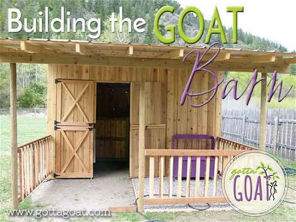 Building the Goat Barn Plan