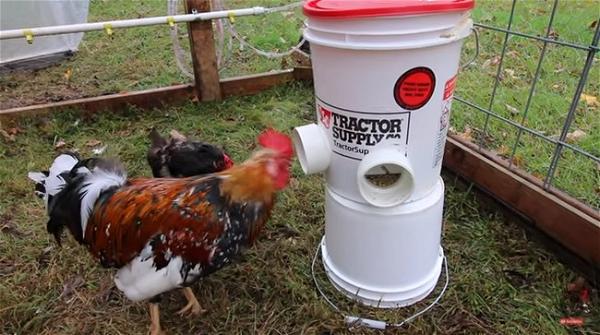 DIY Automatic Chicken Feeder Assembly instructions