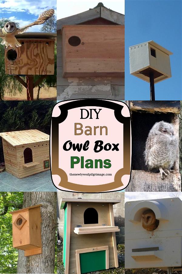 DIY Barn Owl Box Plans