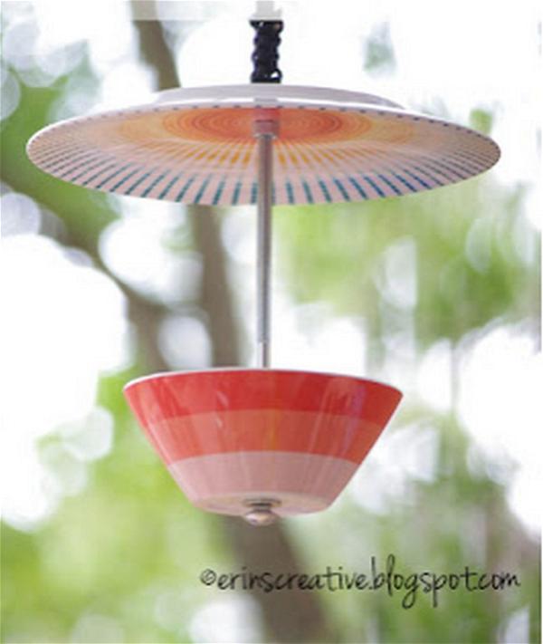 Easy to make feeder for feathery friends