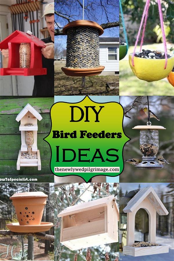 DIY Bird Feeders Ideas 1