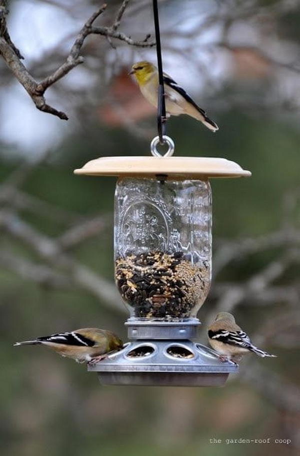 DIY Chick-Bird Feeder  The Garden Roof Coop