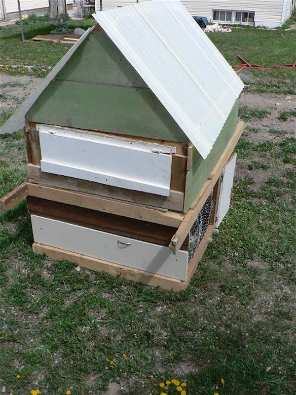 DIY Chicken Coop