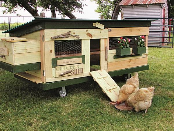 DIY Chicken Tractor Plan