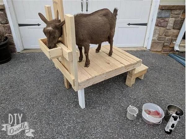 DIY Danielle Goat Milking Stand