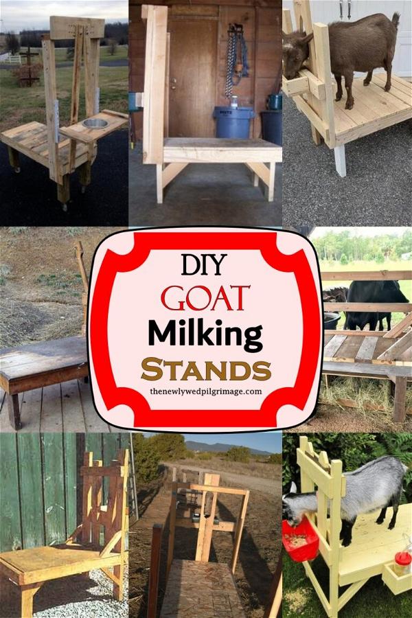 17 DIY Goat Milking Stands You Can Make Today - Mint Design Blog