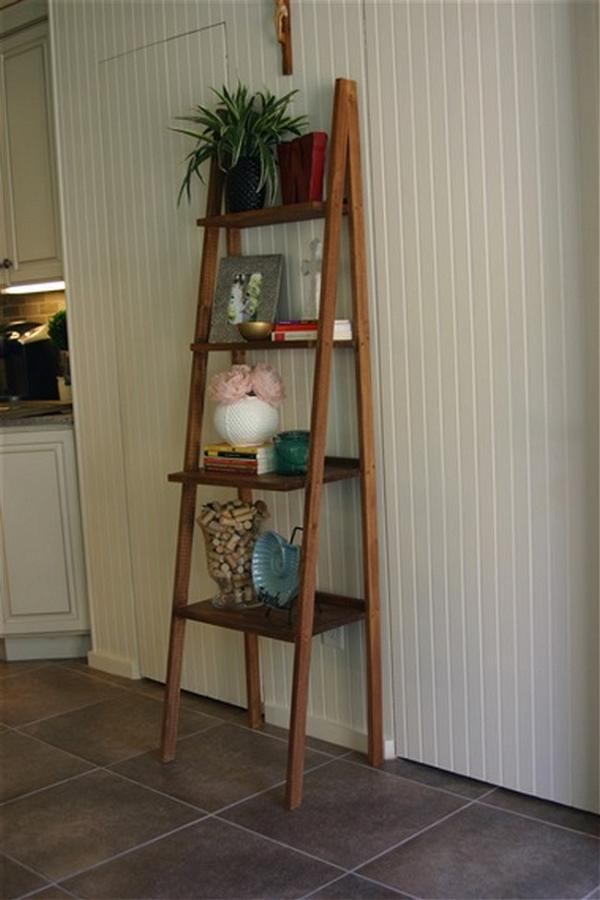 DIY Ladder Shelf 