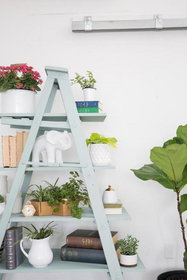 DIY Ladder Shelf