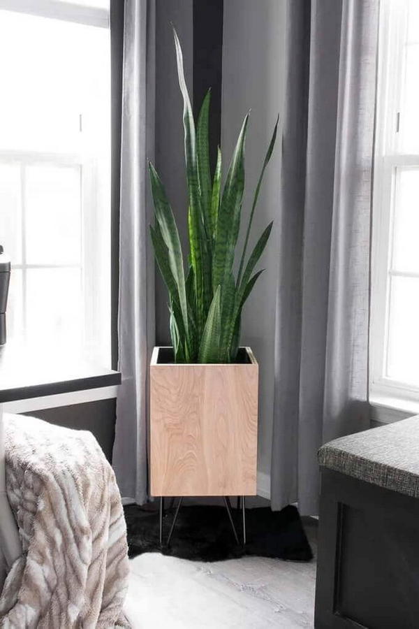 DIY Modern Planter