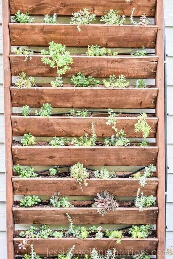 DIY Outdoor Vertical Garden