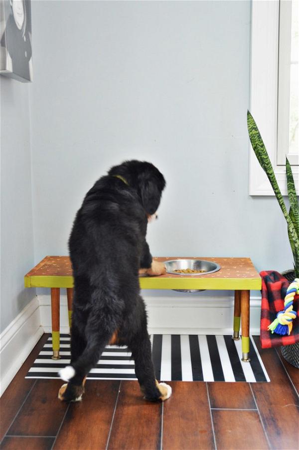 DIY Pet Feeding Station