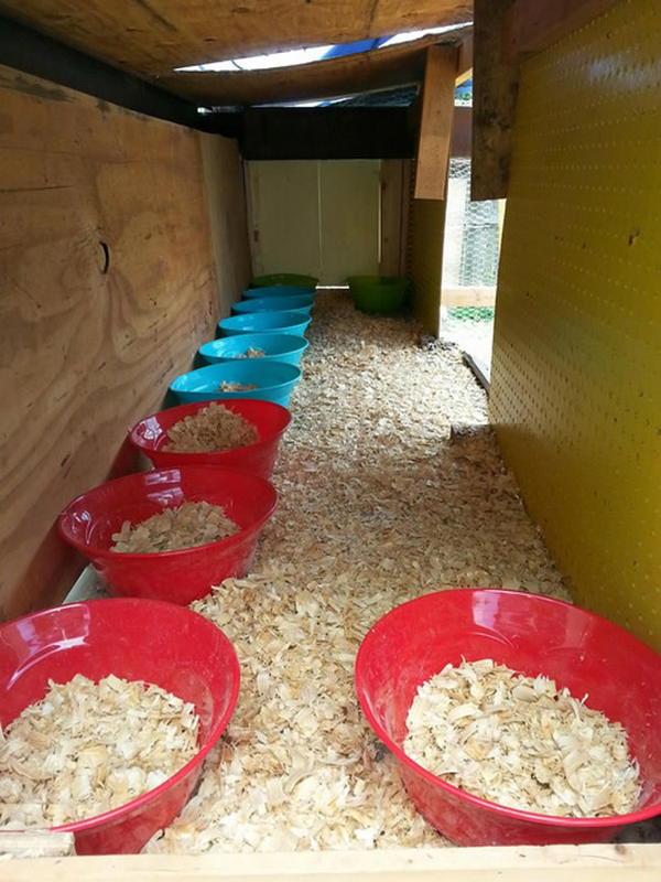 DIY Plastic Bowl Nesting Box