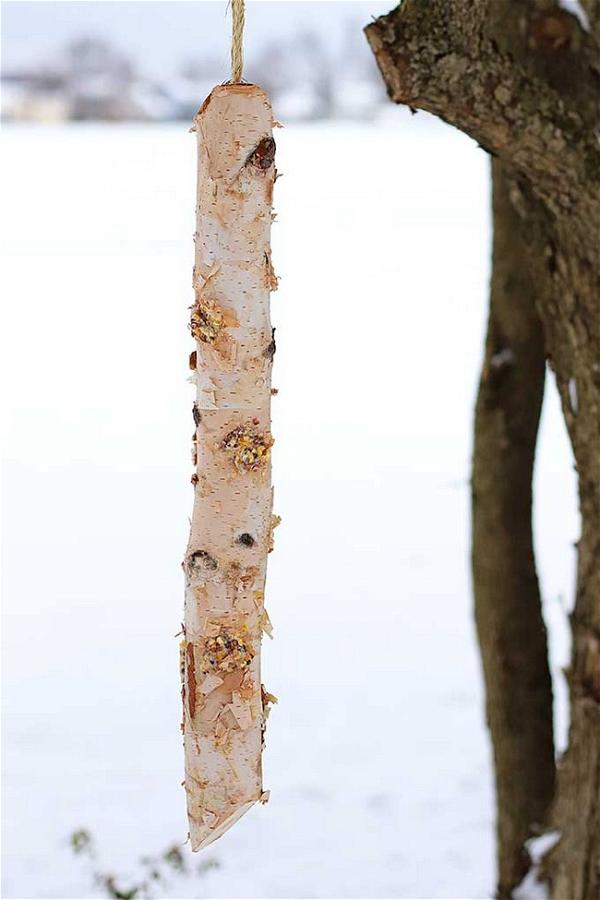 DIY Rustic Log Bird Feeder