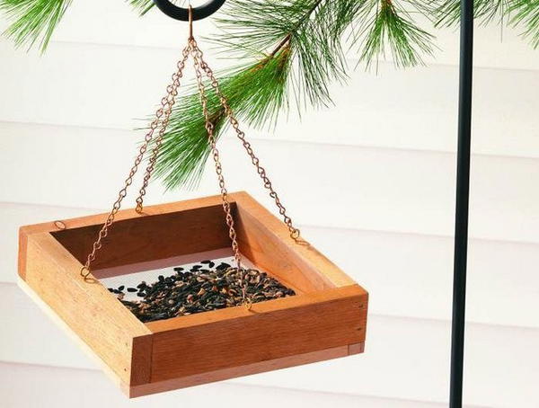 DIY Simple Bird Feeder