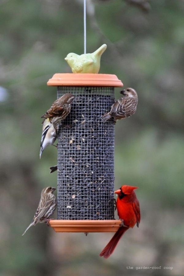 DIY Sunflower Tower Bird-Feeder