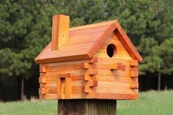 Free Bird House Plan