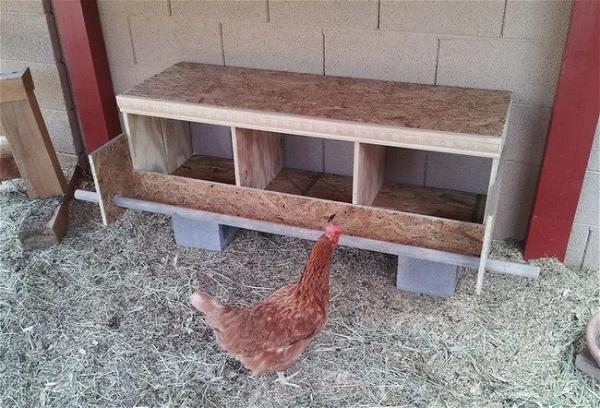 How To Build A Chicken Nesting Box