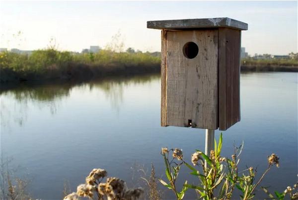 How To Build A Wood Duck Nest Box