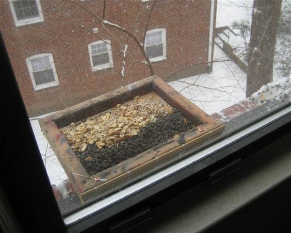 How To Make A Windowsill Open Tray Bird Feeder