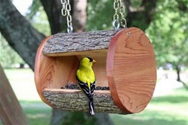 Log Bird Feeder