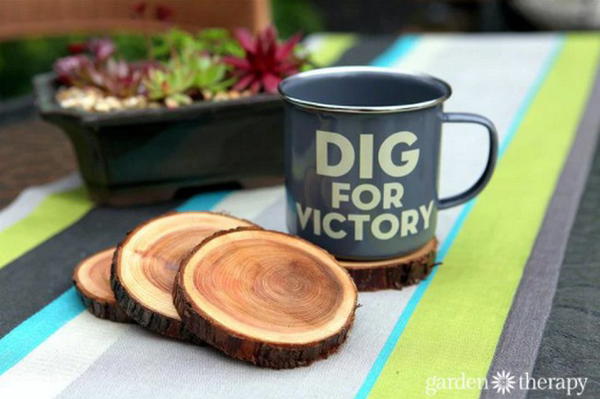 Natural Branch Coasters