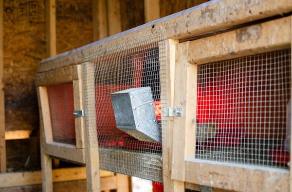 16 DIY Chicken Brooder Plans - Mint Design Blog