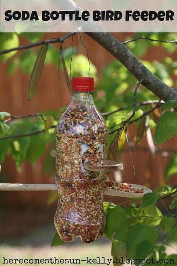 Soda Bottle Bird Feeder