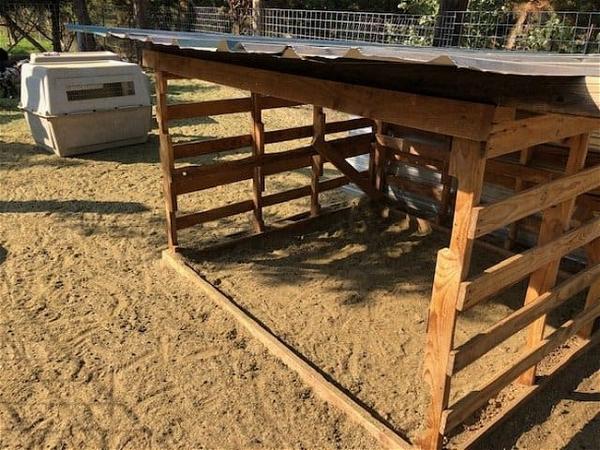 Tips For Building The Best Goat Shelter