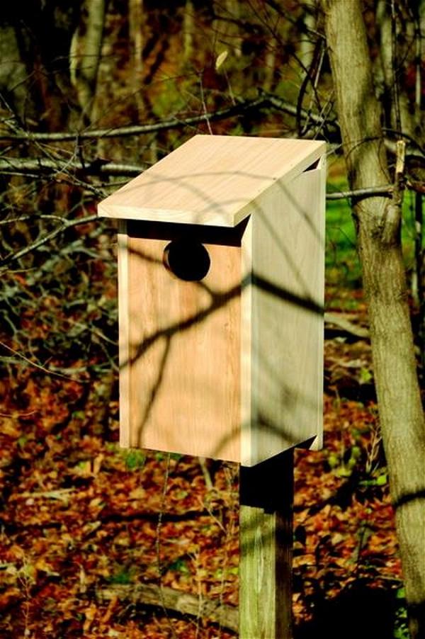 Wood Duck Nest Boxes