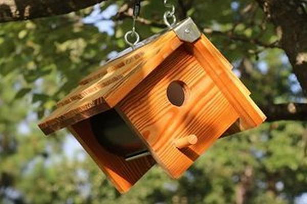 Wooden Bird Box