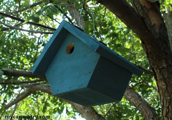 Wren Birdhouse Plan