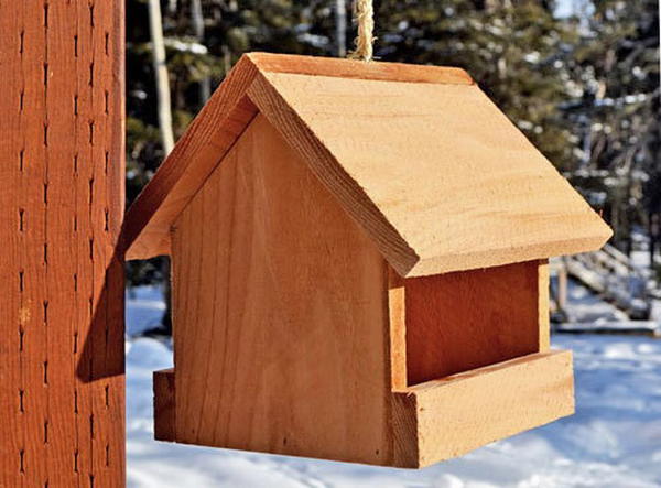 $2 Cedar Birdfeeder